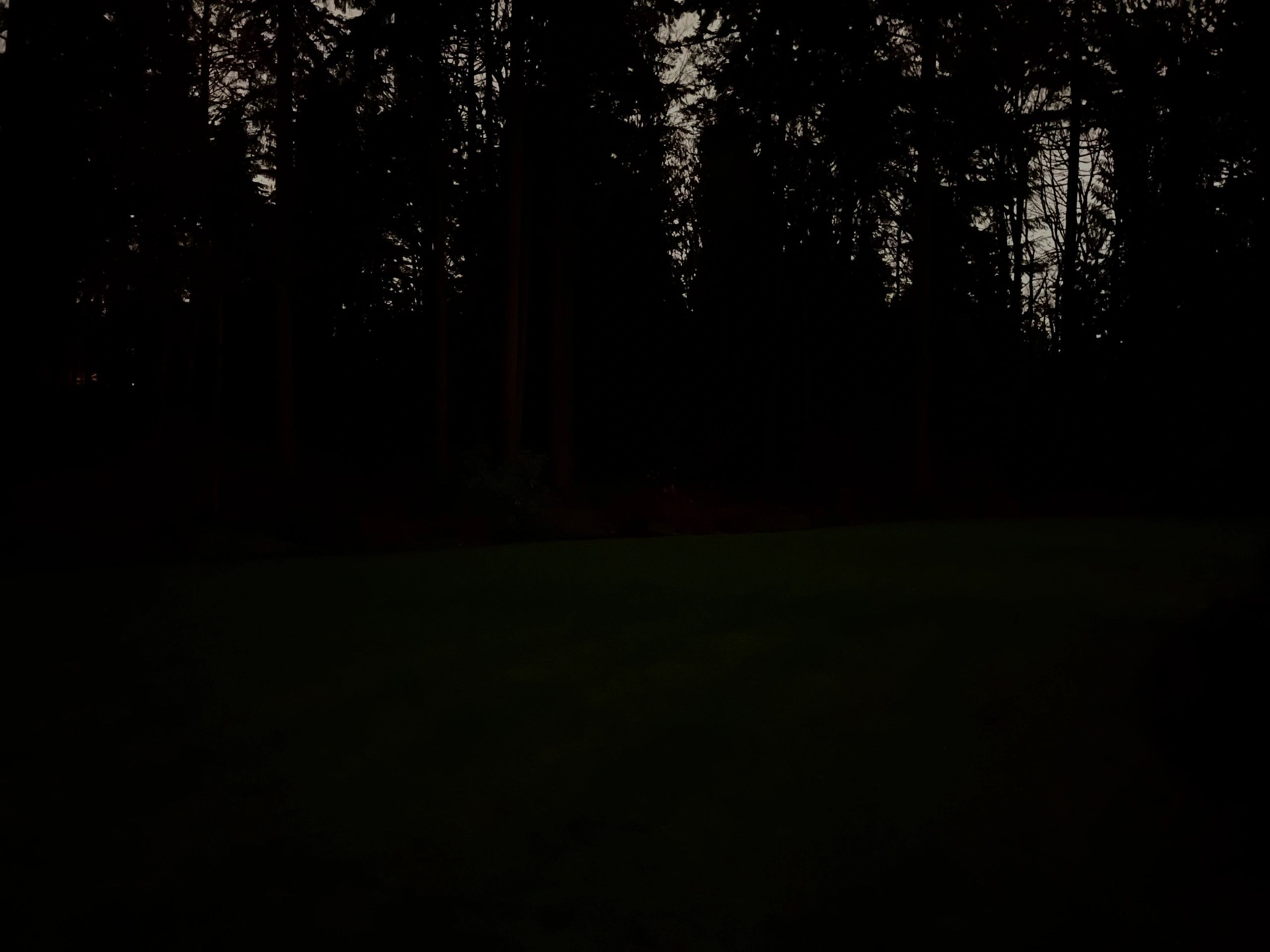 Image12