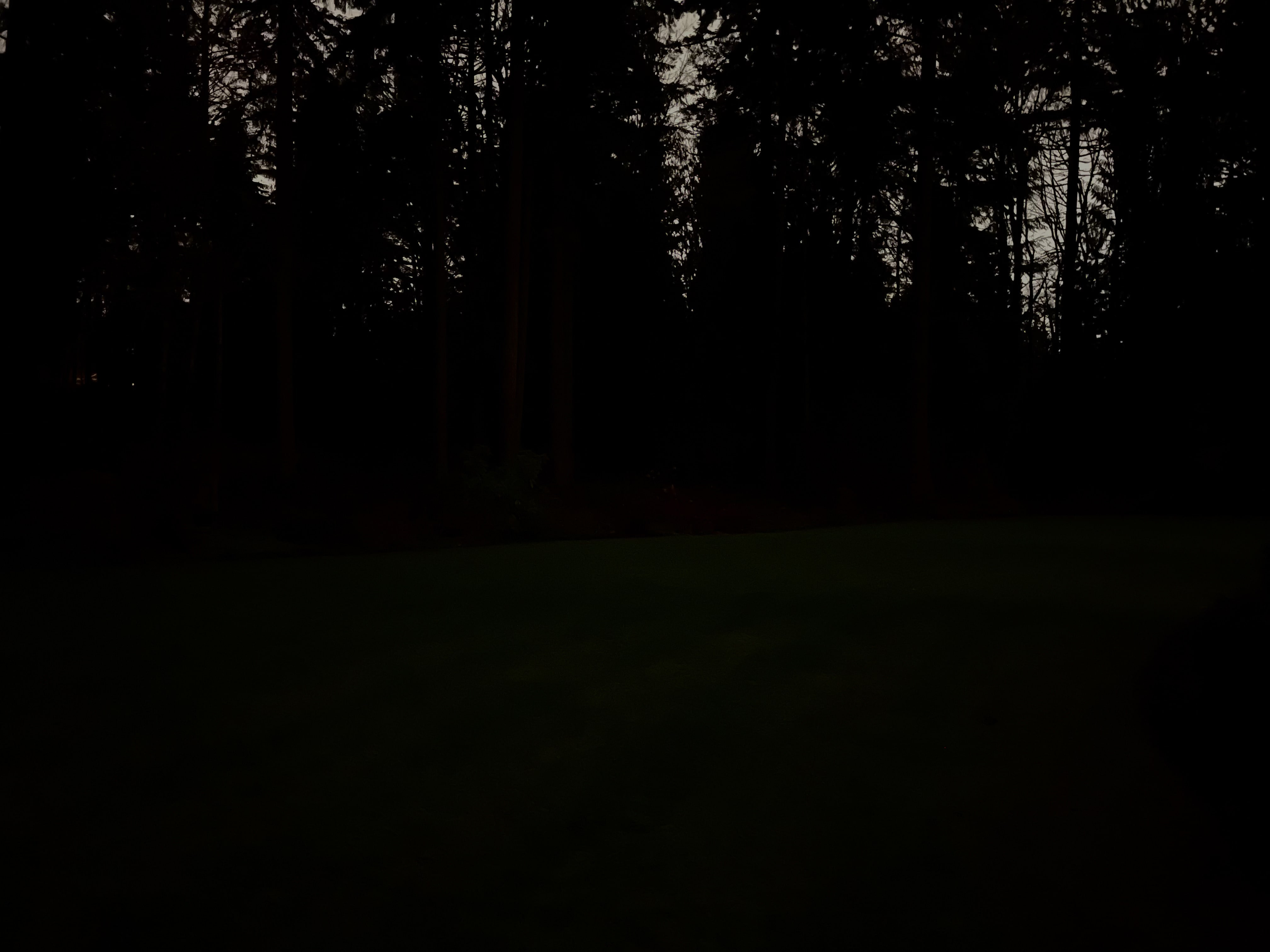 Image7